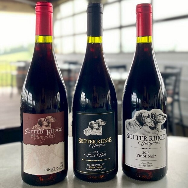 Product Image for 3 Pack of Pinot Noir